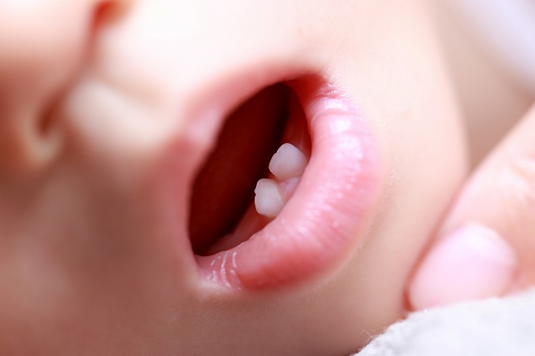 乳歯の役割について
